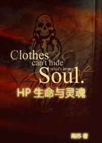 [hp]生命与灵魂