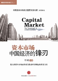 中国经济的锋刃:资本市场
