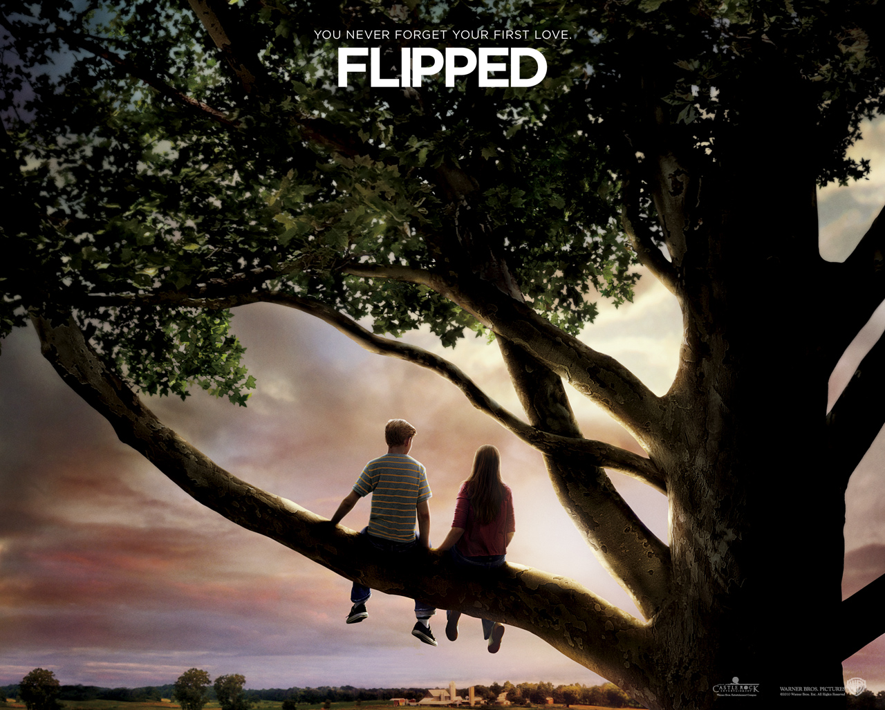 flipped(英文版)