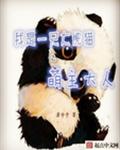 我是大熊猫之萌主大人